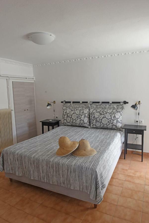 Villa Mare Vista Evdilos  Exterior foto